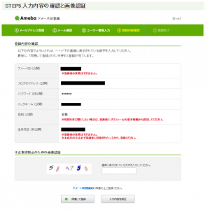 入力内容の確認と画像認証