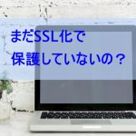 SSL化 ワードプレス初心者がやるメリットとは